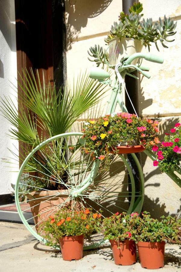 Ciassa Noeva Apartment Pieve di Teco Ngoại thất bức ảnh